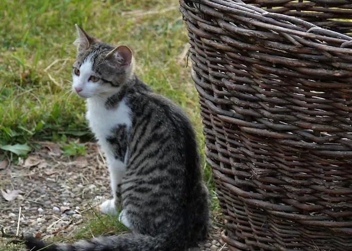 El Refugio Gd * Schwäbisch Gmünd